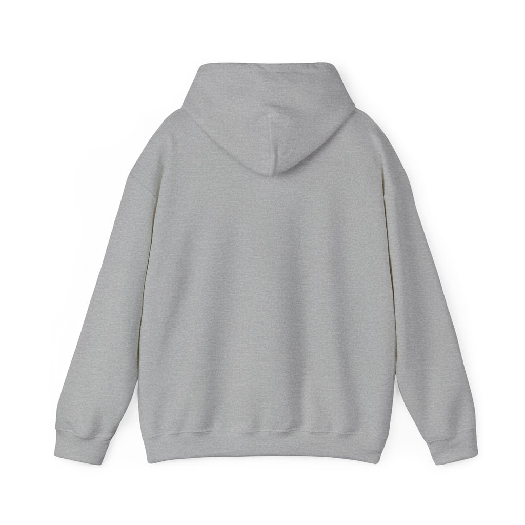 RAFAE™ Premium Heavy Blend Graphic Hoodie (Unisex)